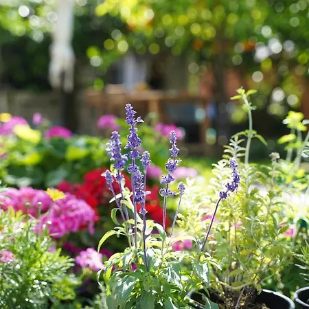 Casa de hóspedes Alterra Néos Marmarás