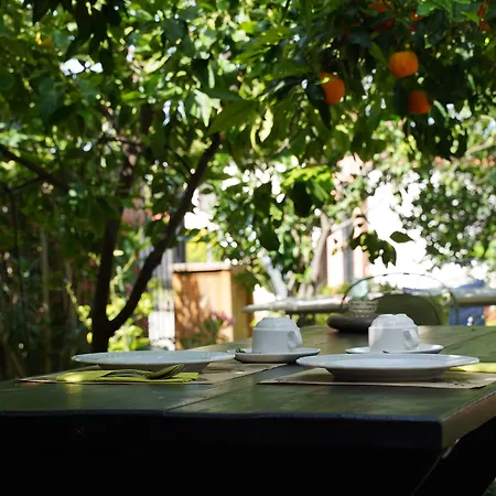 Casa de hóspedes Alterra Néos Marmarás