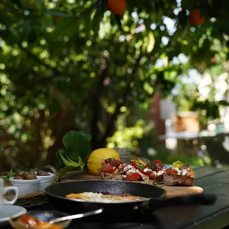 Πανσιόν Alterra 3*