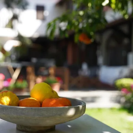 Alterra Pensionat Neos Marmaras