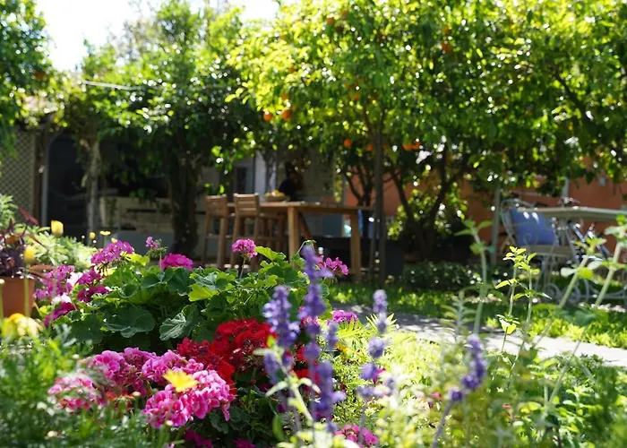 Guest house Alterra Vita Neos Marmaras