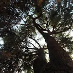 Alterra Affittacamere Neos Marmaras
