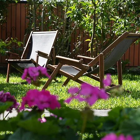 Alterra 3* Neos Marmaras