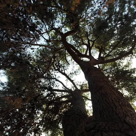 Alterra Vita Gasthof Néos Marmarás