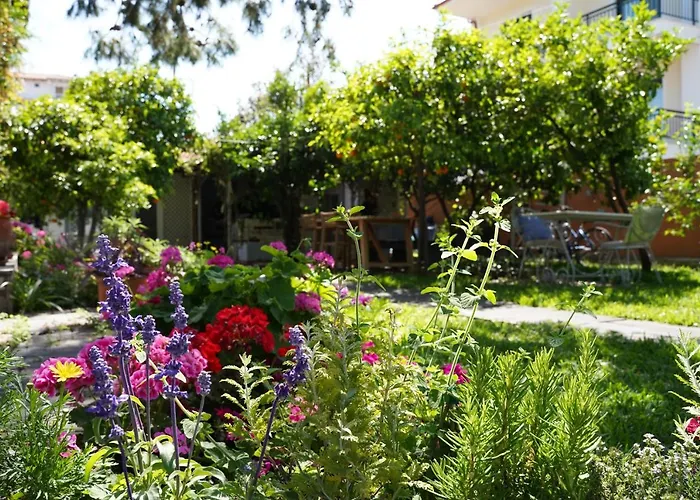 Alterra בית הארחה