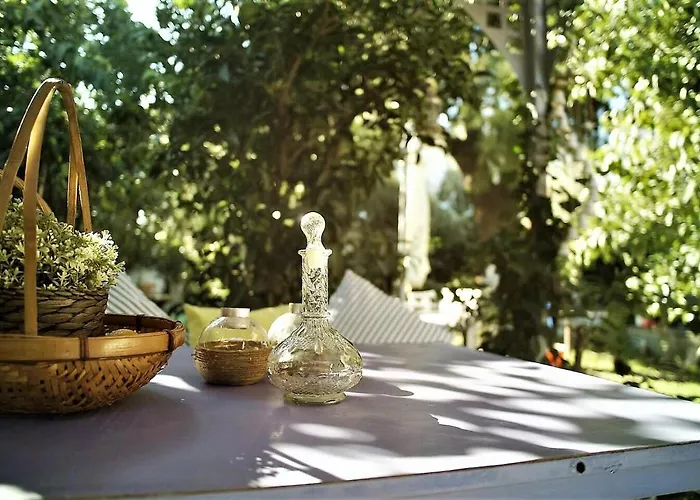 Alterra בית הארחה