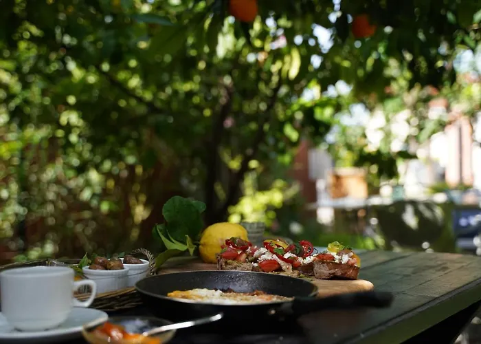 בית הארחה Alterra 3*