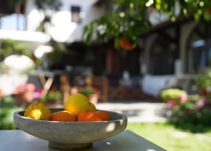 Alterra בית הארחה נאוס מרמרס