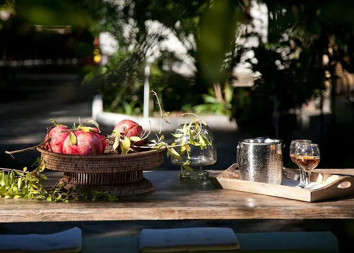 בית הארחה Alterra 3*